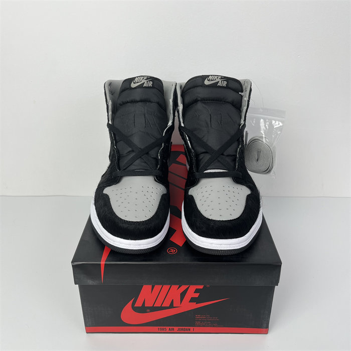 Jordan 1 Retro High OG Twist 2.0 DZ2523-001