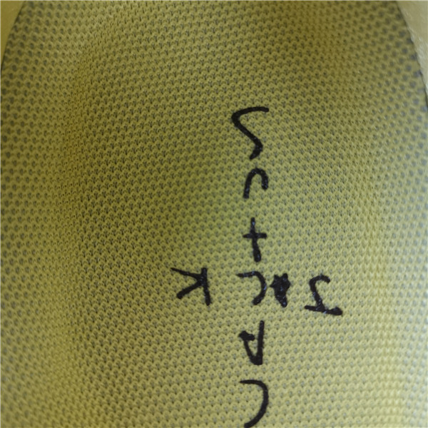 Max1 ts Travis Scott X Nike Air Max 1