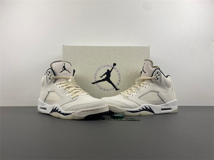 Jordan 5 Retro SE FN7405-100
