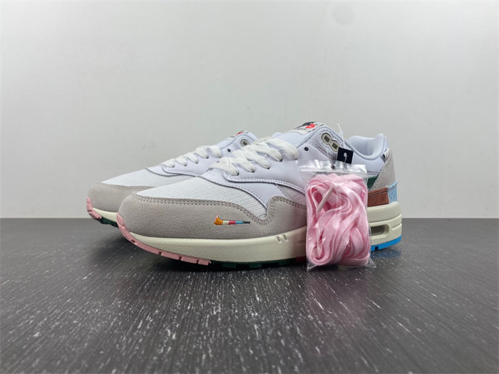 Nike Air Max 1 “All Petals United” FQ0256-131